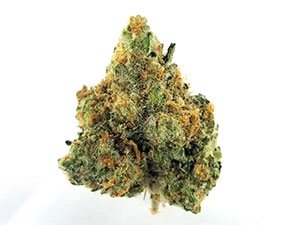 Strains