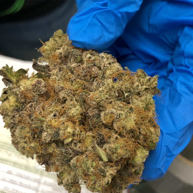 Kush Gardens Recreational Marijuana Dispensary in De Beque, CO
